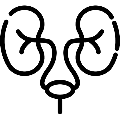 Icone urologia